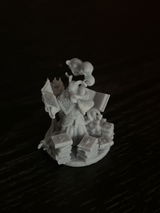 Ovidiu Diumea review photo
