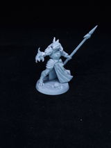 Rendarsus review photo