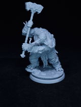 Rendarsus review photo