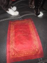 Jennifer Mepham review photo