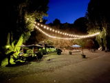 Julian Coiner review photo