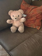 Rob Palmer review photo