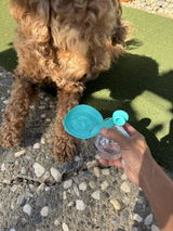 Ketan review photo