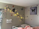 Jayesh review photo
