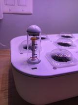 Cici review photo