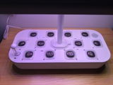 Cici review photo