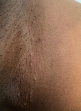 Loyal customer! review photo