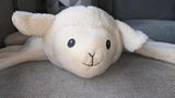 Niknaknoo review photo