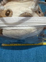 Customer Review review photo