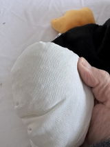 CrisH review photo