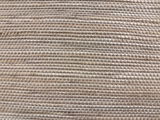 Jay review photo