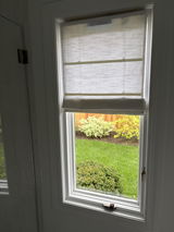 Anonymous review photo