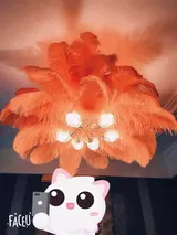 Fedora review photo