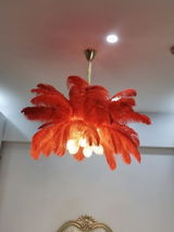 Horatio review photo