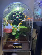 Madelyn G review photo