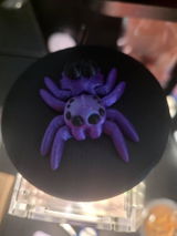 Gabriela G review photo