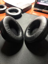 Darcy review photo