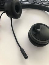 Darcy review photo