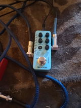Spencer Rotman review photo