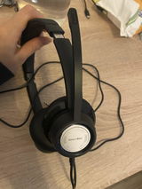 bing review photo