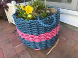 Planter review photo