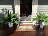 JoAnn review photo