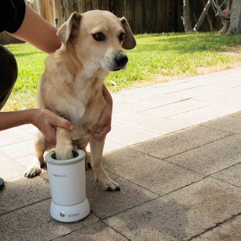 Pet cleaning pod portable gadget