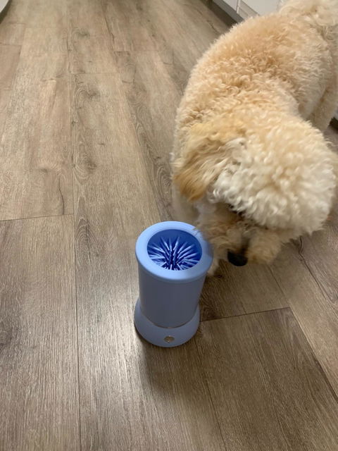 Pet cleaning pod portable gadget
