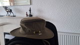 TedsTravels review photo