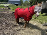 BlueBarnFarm2020 review photo