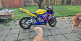 User picture