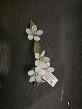 Joann review photo