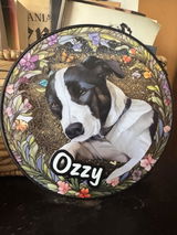 Suzie review photo