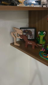 Dario Torres review photo
