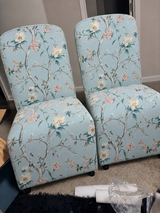 stella review photo