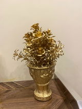 Amir Sohail review photo
