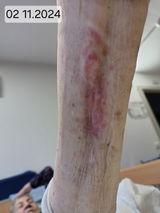 Elena Bucura Asistent Medical Casa Ely Centrum review photo