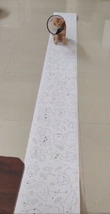 Rasika review photo