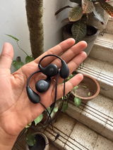 Radhika review photo