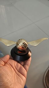 SS review photo