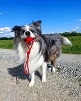 Tjaša Trdič review photo
