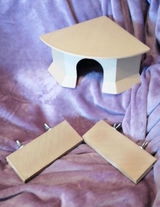 Carolien B. review photo