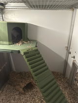 Rattery van Hamelen review photo