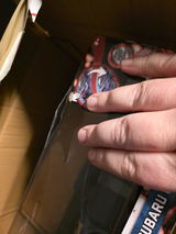 Sabrina Paquin Auger review photo