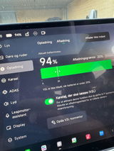 Danni review photo