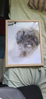 Tallis C. review photo