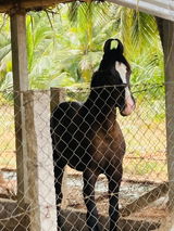 Saravanan review photo