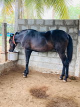 Saravanan review photo