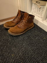 Santeri Piikkilä review photo