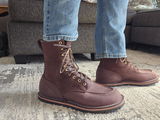 Taylor Curtis review photo